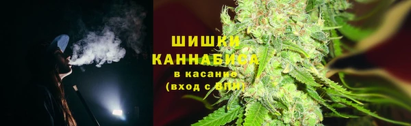 mdpv Белокуриха