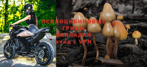 mdpv Белокуриха