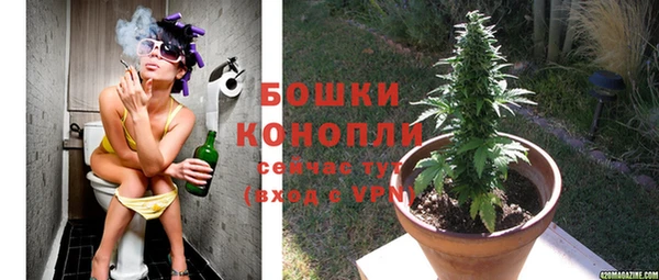 бутират Баксан